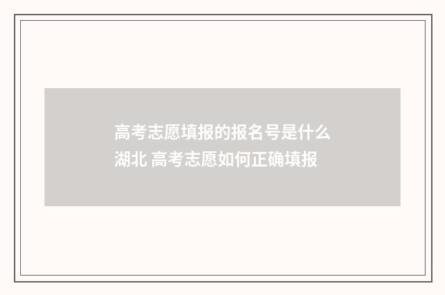 高考志愿填报的报名号是什么湖北 高考志愿如何正确填报
