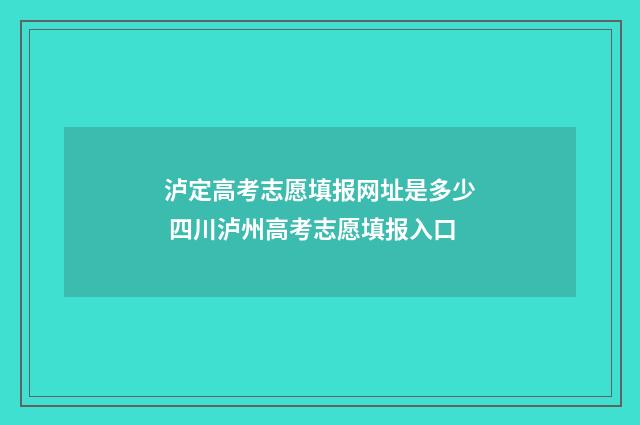 泸定高考志愿填报网址是多少 四川泸州高考志愿填报入口
