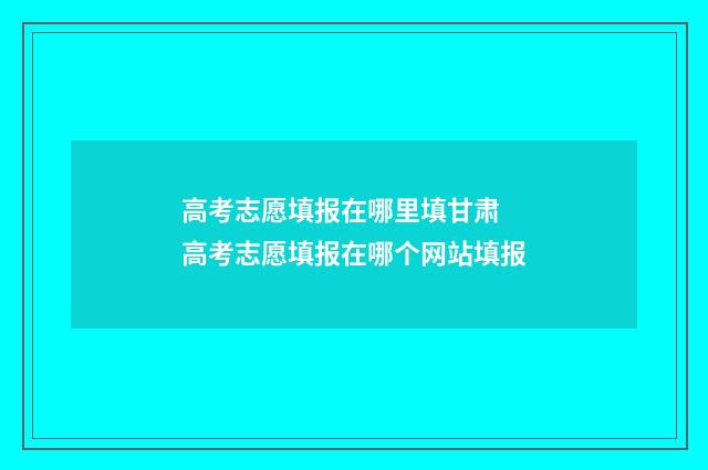 高考志愿填报在哪里填甘肃 高考志愿填报在哪个网站填报