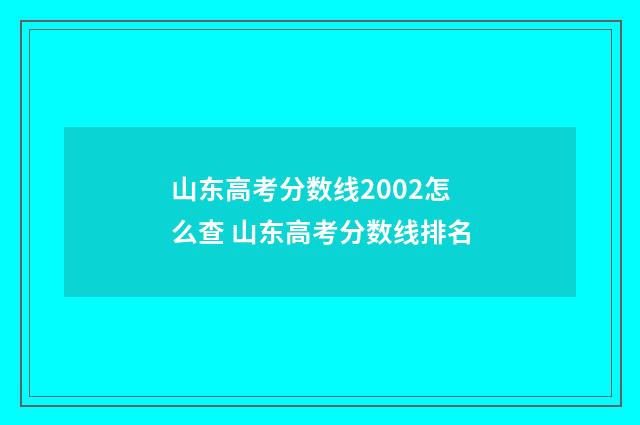 山东高考分数线2002怎么查 山东高考分数线排名