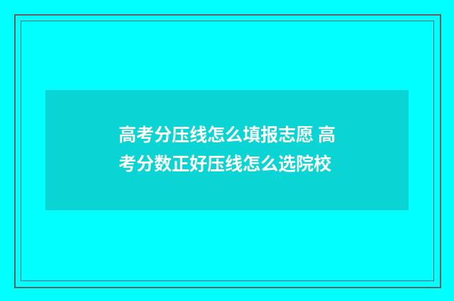 高考分压线怎么填报志愿 高考分数正好压线怎么选院校