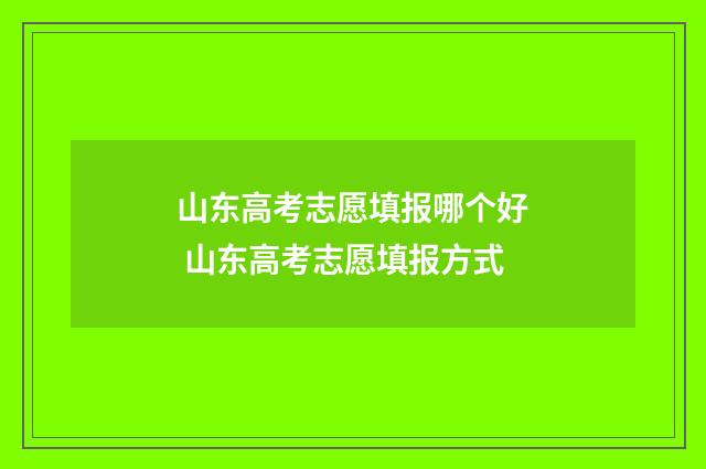 山东高考志愿填报哪个好 山东高考志愿填报方式