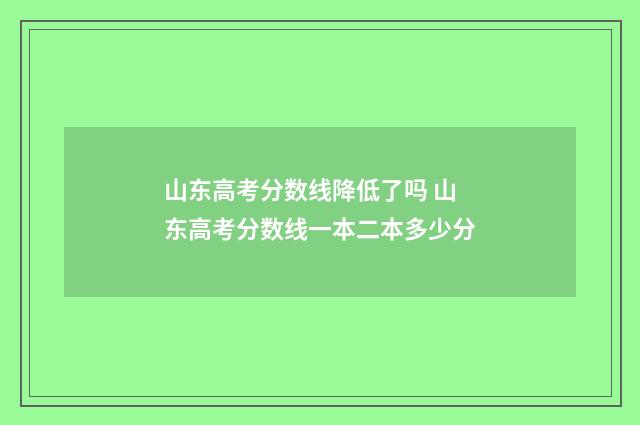 山东高考分数线降低了吗 山东高考分数线一本二本多少分