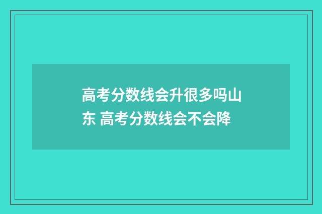 高考分数线会升很多吗山东 高考分数线会不会降