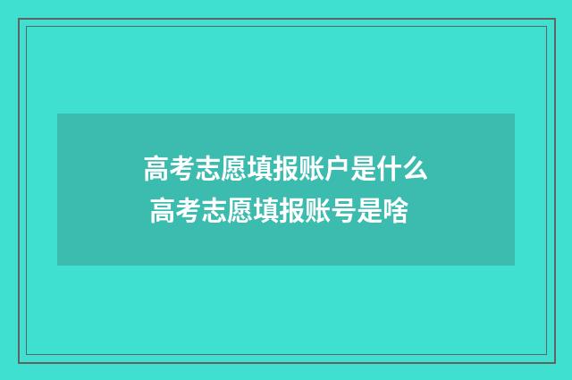 高考志愿填报账户是什么 高考志愿填报账号是啥