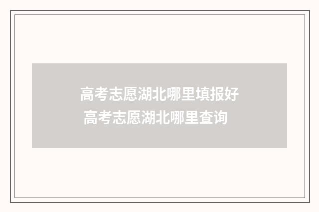 高考志愿湖北哪里填报好 高考志愿湖北哪里查询