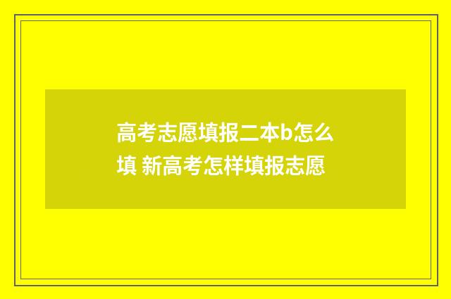 高考志愿填报二本b怎么填 新高考怎样填报志愿