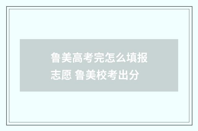 鲁美高考完怎么填报志愿 鲁美校考出分