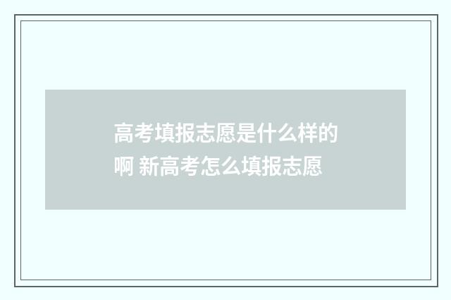 高考填报志愿是什么样的啊 新高考怎么填报志愿