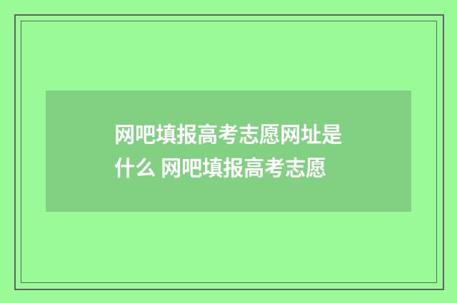 网吧填报高考志愿网址是什么 网吧填报高考志愿
