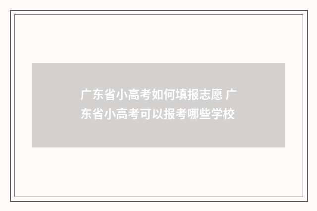 广东省小高考如何填报志愿 广东省小高考可以报考哪些学校