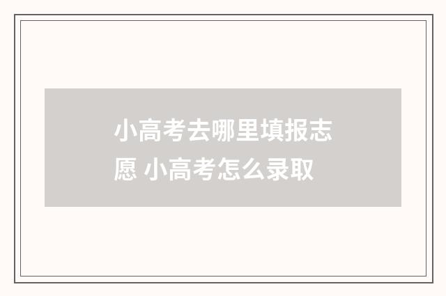 小高考去哪里填报志愿 小高考怎么录取