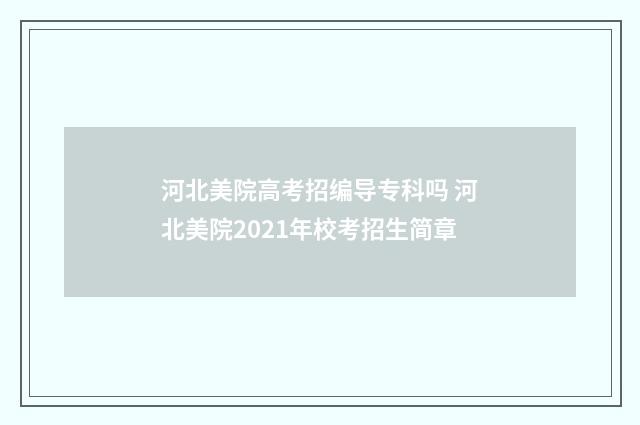 河北美院高考招编导专科吗 河北美院2021年校考招生简章