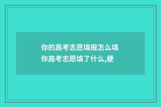 你的高考志愿填报怎么填 你高考志愿填了什么,梗