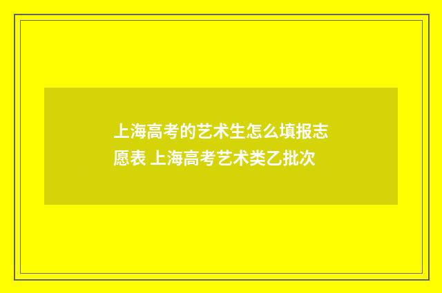 上海高考的艺术生怎么填报志愿表 上海高考艺术类乙批次