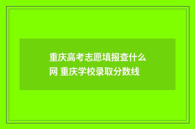 重庆高考志愿填报查什么网 重庆学校录取分数线