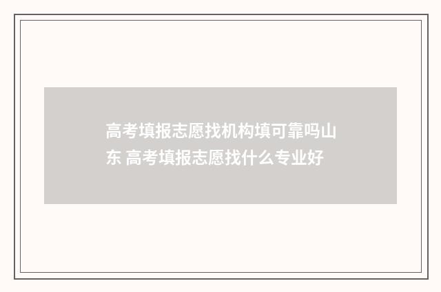 高考填报志愿找机构填可靠吗山东 高考填报志愿找什么专业好