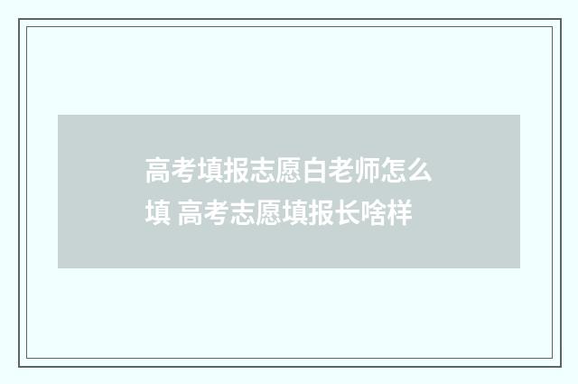 高考填报志愿白老师怎么填 高考志愿填报长啥样