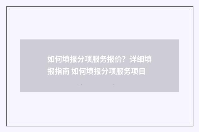 如何填报分项服务报价？详细填报指南 如何填报分项服务项目