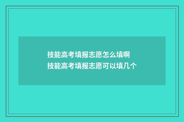 技能高考填报志愿怎么填啊 技能高考填报志愿可以填几个