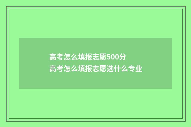 高考怎么填报志愿500分 高考怎么填报志愿选什么专业