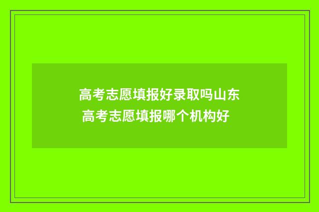 高考志愿填报好录取吗山东 高考志愿填报哪个机构好