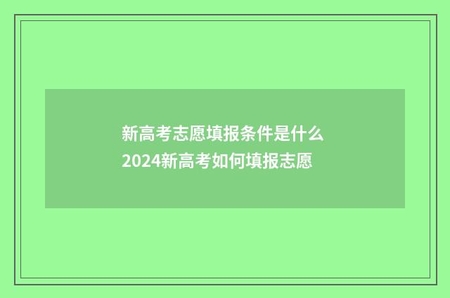新高考志愿填报条件是什么 2024新高考如何填报志愿