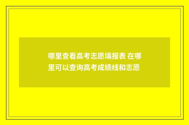 哪里查看高考志愿填报表 在哪里可以查询高考成绩线和志愿