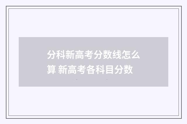 分科新高考分数线怎么算 新高考各科目分数
