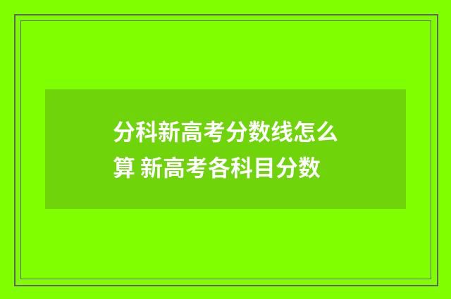 分科新高考分数线怎么算 新高考各科目分数
