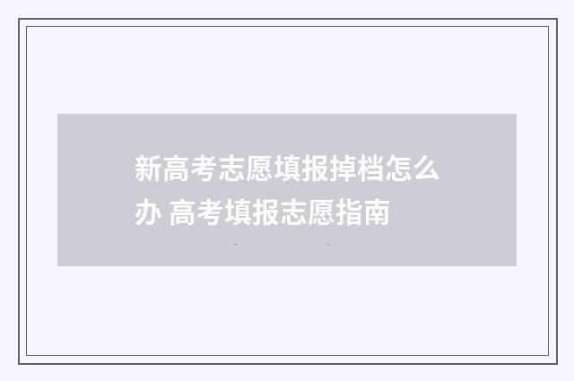 新高考志愿填报掉档怎么办 高考填报志愿指南
