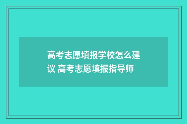 高考志愿填报学校怎么建议 高考志愿填报指导师