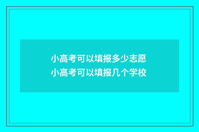 小高考可以填报多少志愿 小高考可以填报几个学校