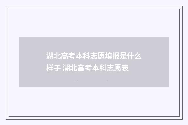 湖北高考本科志愿填报是什么样子 湖北高考本科志愿表