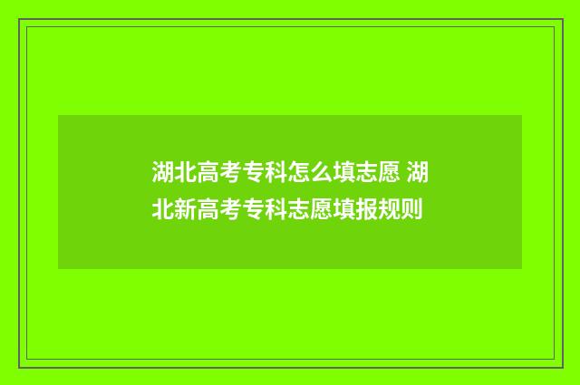 湖北高考专科怎么填志愿 湖北新高考专科志愿填报规则