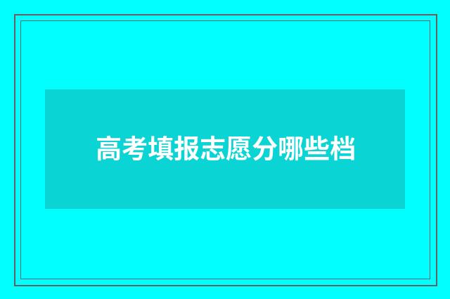 高考填报志愿分哪些档