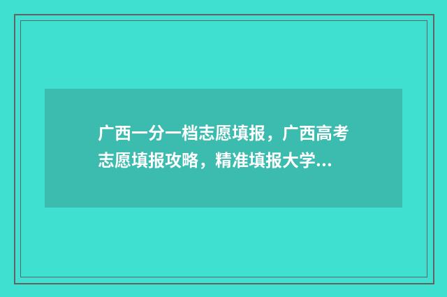 广西一分一档志愿填报，广西高考志愿填报攻略，精准填报大学 广西1分1档