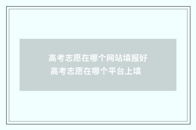 高考志愿在哪个网站填报好 高考志愿在哪个平台上填