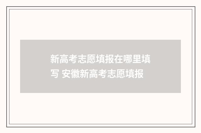 新高考志愿填报在哪里填写 安徽新高考志愿填报