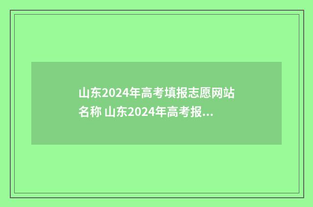 山东2024年高考填报志愿网站名称 山东2024年高考报名