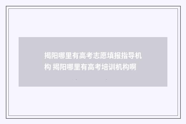 揭阳哪里有高考志愿填报指导机构 揭阳哪里有高考培训机构啊