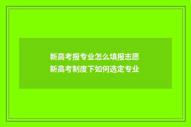新高考报专业怎么填报志愿 新高考制度下如何选定专业
