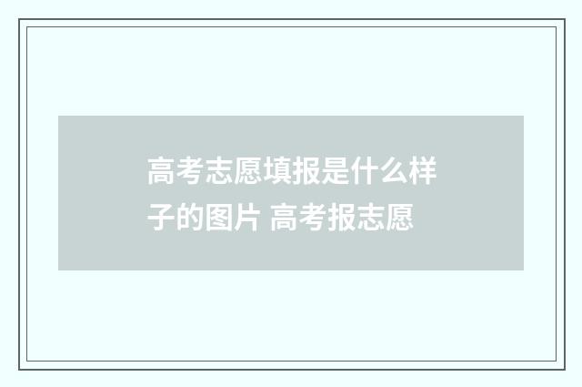 高考志愿填报是什么样子的图片 高考报志愿
