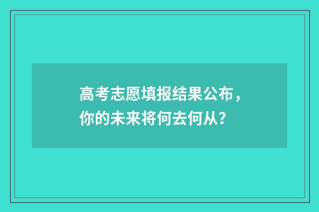 高考志愿填报结果公布，你的未来将何去何从？