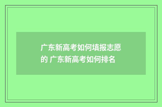 广东新高考如何填报志愿的 广东新高考如何排名