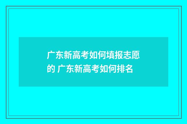 广东新高考如何填报志愿的 广东新高考如何排名