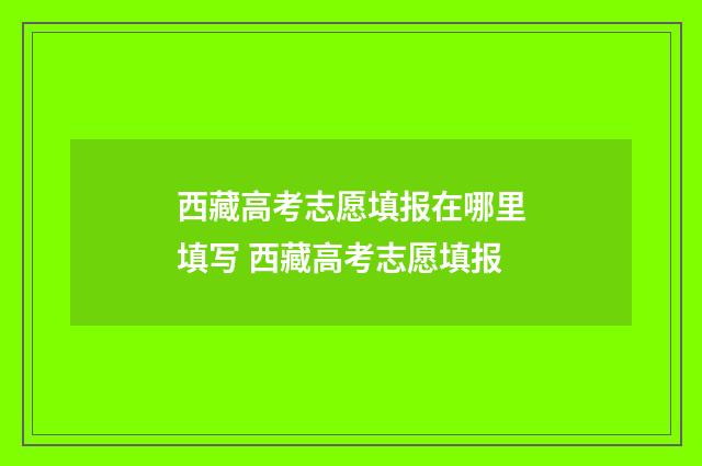 西藏高考志愿填报在哪里填写 西藏高考志愿填报