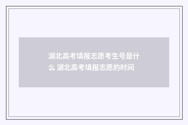 湖北高考填报志愿考生号是什么 湖北高考填报志愿的时间