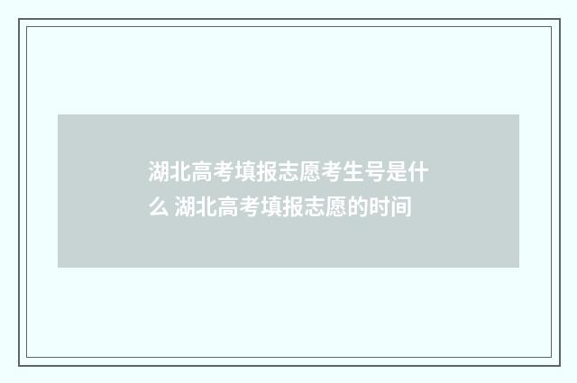 湖北高考填报志愿考生号是什么 湖北高考填报志愿的时间