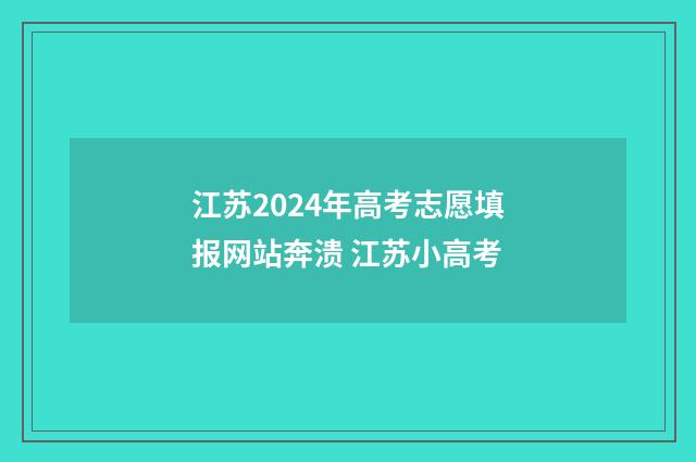 江苏2024年高考志愿填报网站奔溃 江苏小高考